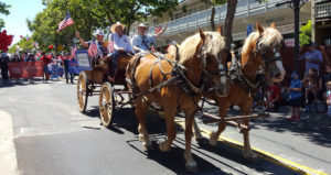 FJMA Horse & Wagon at Orinda's 4th of July parade